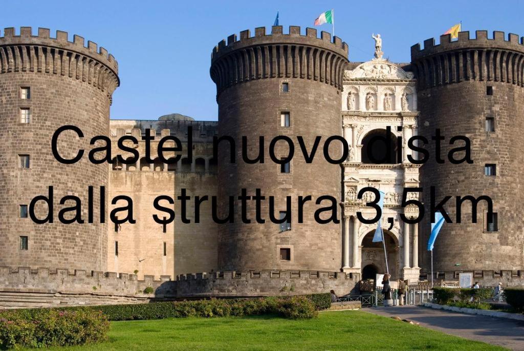 Dg Lovely Napoli